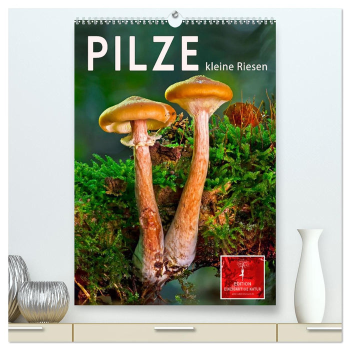 Pilze - kleine Riesen (CALVENDO Premium Wandkalender 2026)