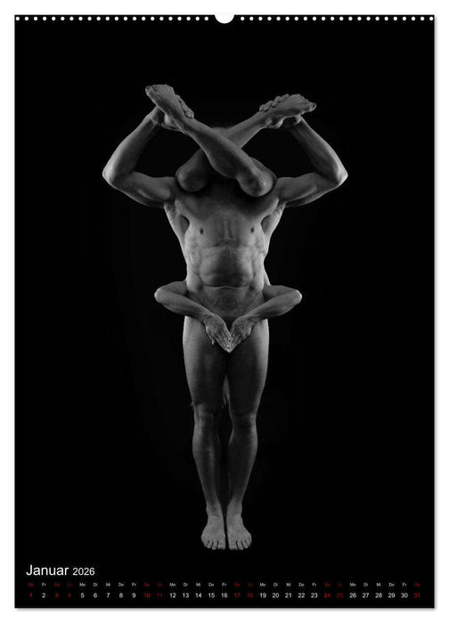 NUDE DANCE (CALVENDO Premium Wandkalender 2026)