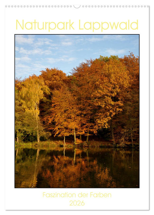 Faszination der Farben im Naturpark Lappwald (CALVENDO Wandkalender 2026)