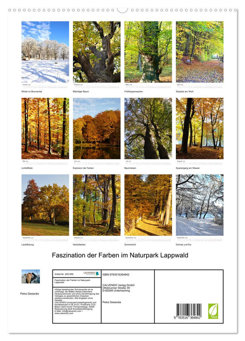 Faszination der Farben im Naturpark Lappwald (CALVENDO Wandkalender 2026)