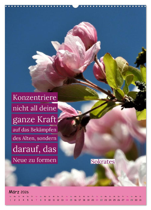 Zeit für...Veränderungen mit Weisheiten und Zitaten (CALVENDO Wandkalender 2026)