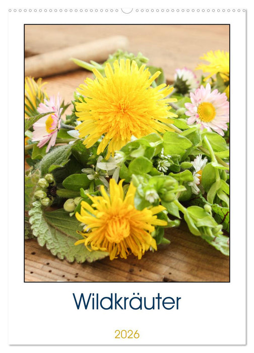 Essbare Wildkräuter (CALVENDO Wandkalender 2026)