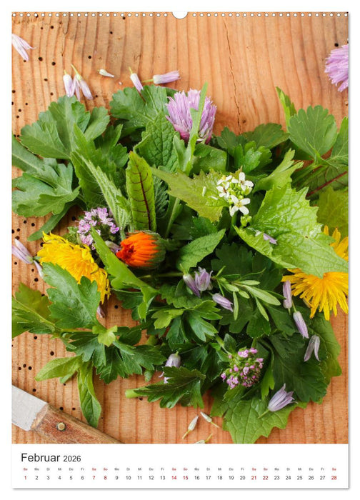 Essbare Wildkräuter (CALVENDO Wandkalender 2026)