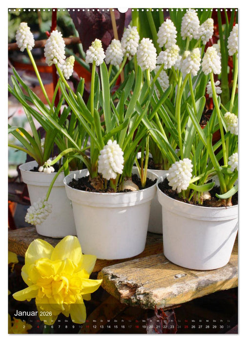 Ferien im Garten (CALVENDO Wandkalender 2026)