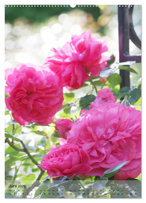 Ferien im Garten (CALVENDO Wandkalender 2026)