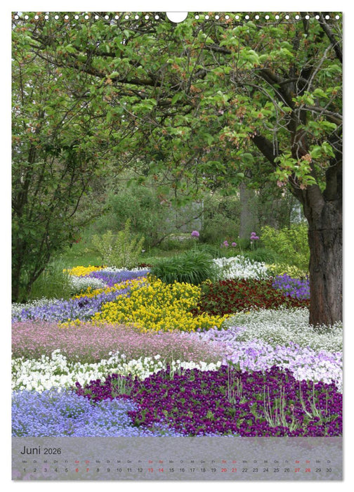 Liebenswertes Mainz (CALVENDO Wandkalender 2026)