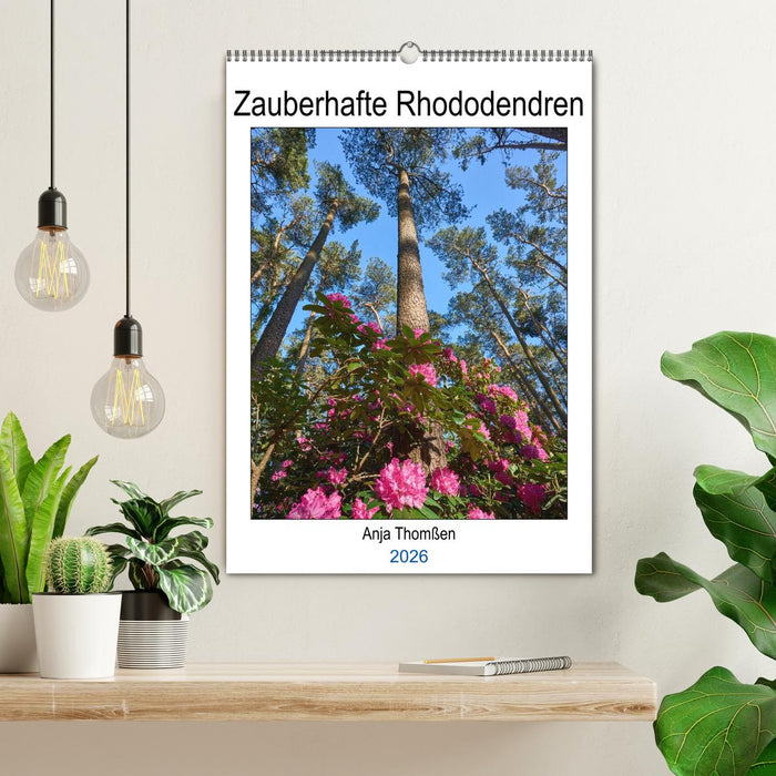 Zauberhafte Rhododendren (CALVENDO Wandkalender 2026)