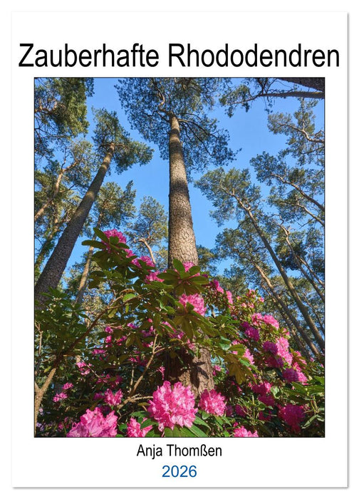 Zauberhafte Rhododendren (CALVENDO Wandkalender 2026)