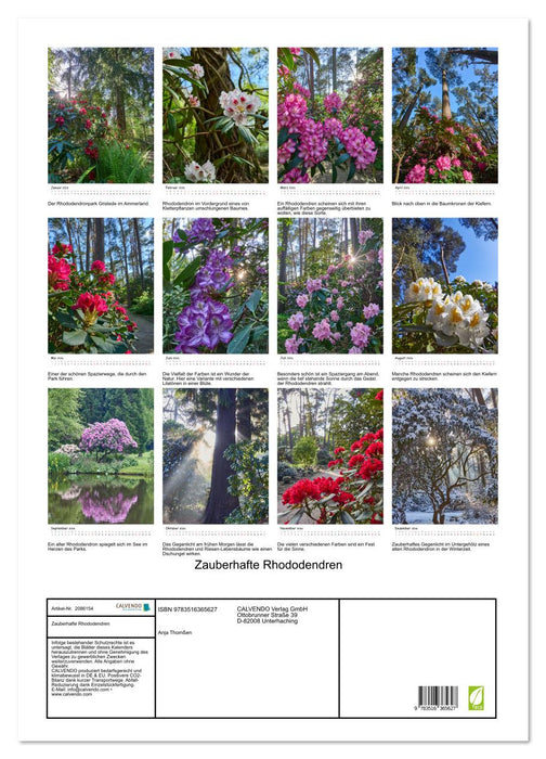 Zauberhafte Rhododendren (CALVENDO Wandkalender 2026)