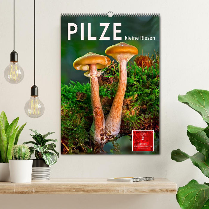 Pilze - kleine Riesen (CALVENDO Wandkalender 2026)
