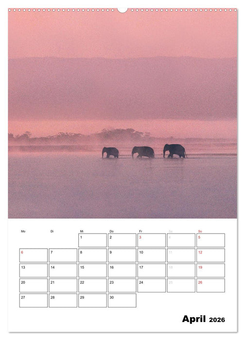 THAILAND - Mein Urlaubsplaner (CALVENDO Premium Wandkalender 2026)