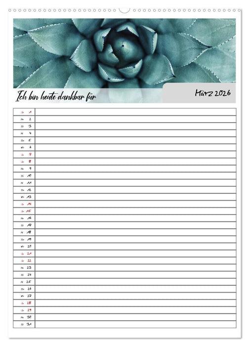 Ich bin dankbar - ein Jahr voller Achtsamkeit (CALVENDO Premium Wandkalender 2026)