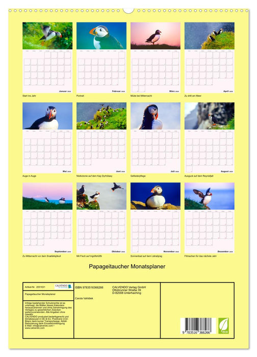 Papageitaucher Monatsplaner (CALVENDO Wandkalender 2026)