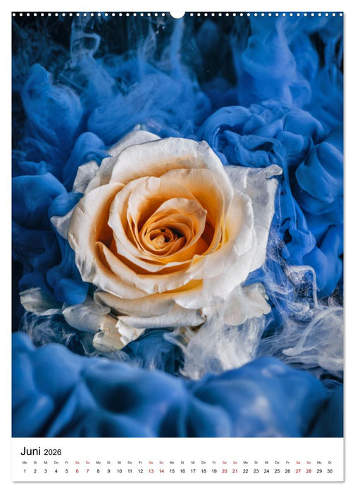 Spiel der Farben - Blüten unter Wasser mit Acrylfarben (CALVENDO Premium Wandkalender 2026)