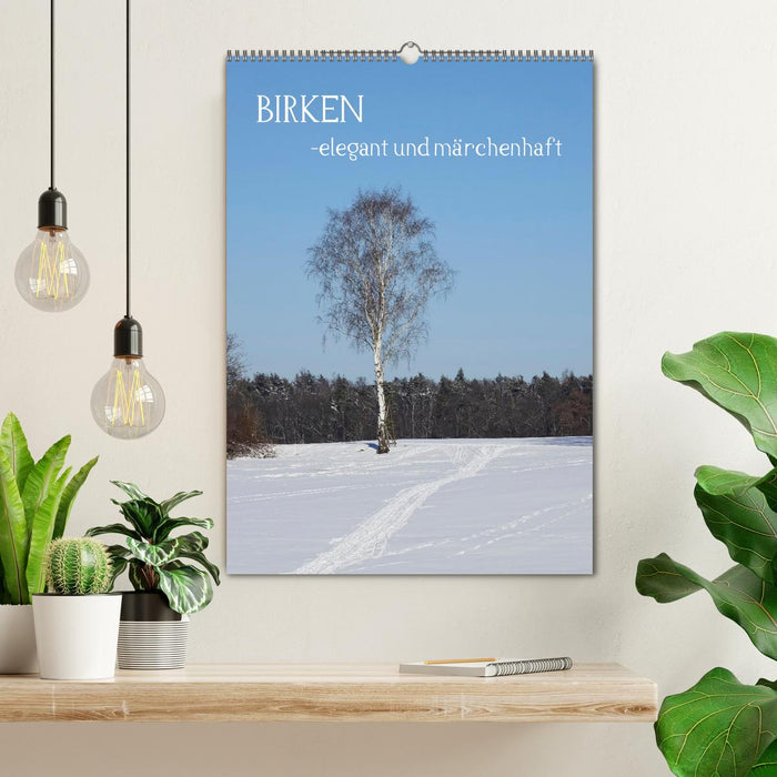 Birken - elegant und märchenhaft (CALVENDO Wandkalender 2026)