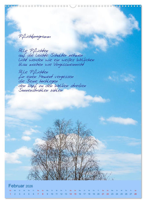 Himmlische Tage (CALVENDO Premium Wandkalender 2026)