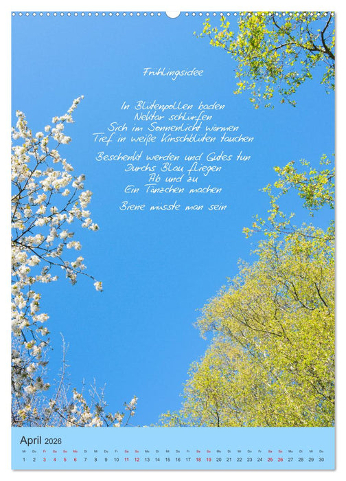 Himmlische Tage (CALVENDO Premium Wandkalender 2026)