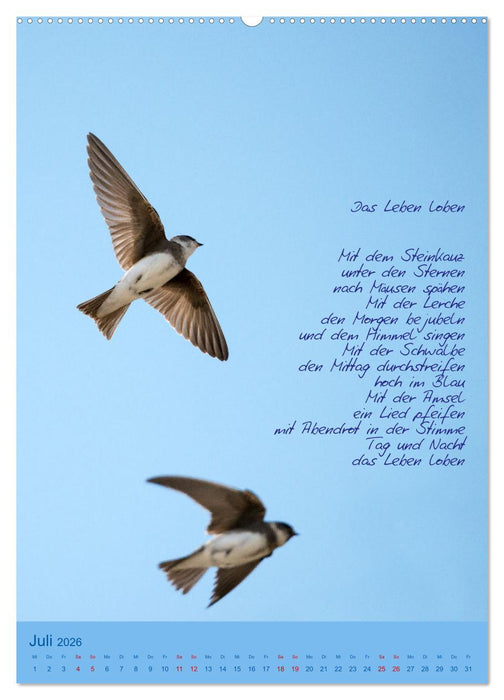 Himmlische Tage (CALVENDO Premium Wandkalender 2026)