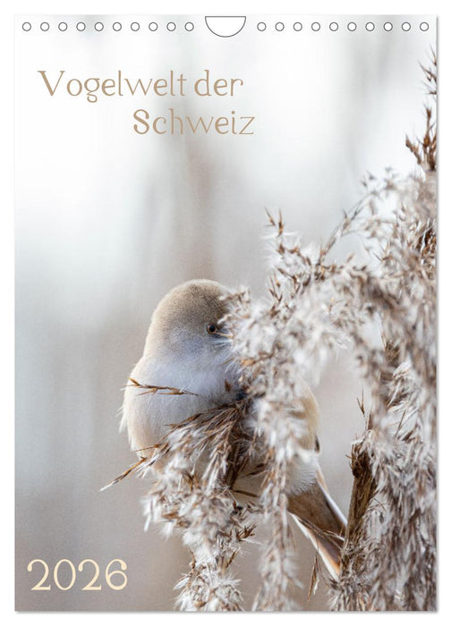 Vogelwelt der Schweiz (CALVENDO Wandkalender 2026)