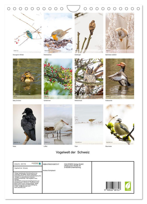 Vogelwelt der Schweiz (CALVENDO Wandkalender 2026)