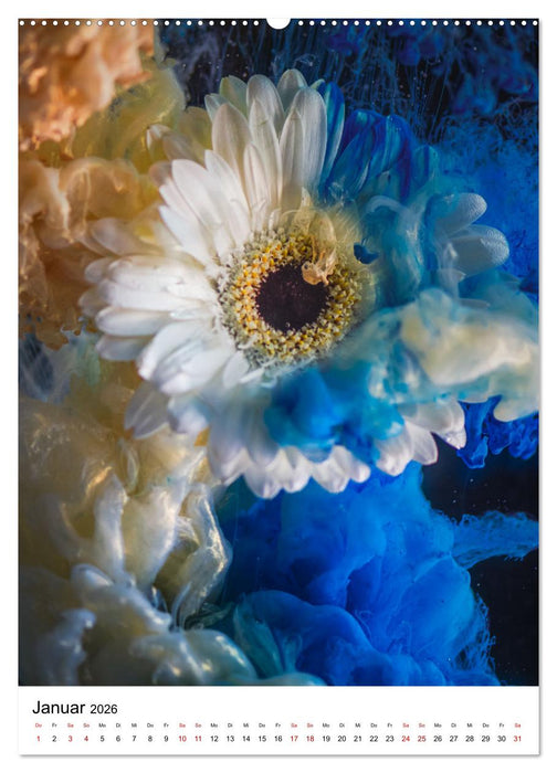 Spiel der Farben - Blüten unter Wasser mit Acrylfarben (CALVENDO Wandkalender 2026)