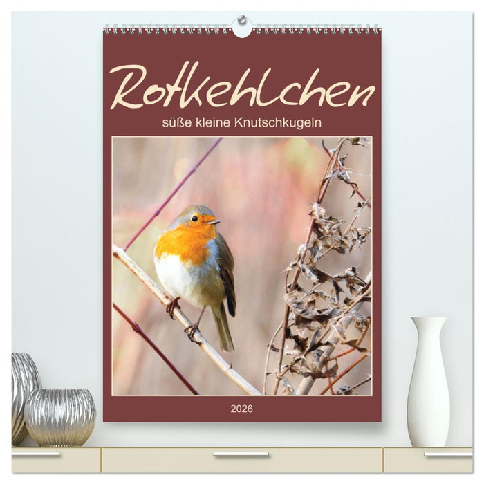 Rotkehlchen, süße kleine Knutschkugeln (CALVENDO Premium Wandkalender 2026)