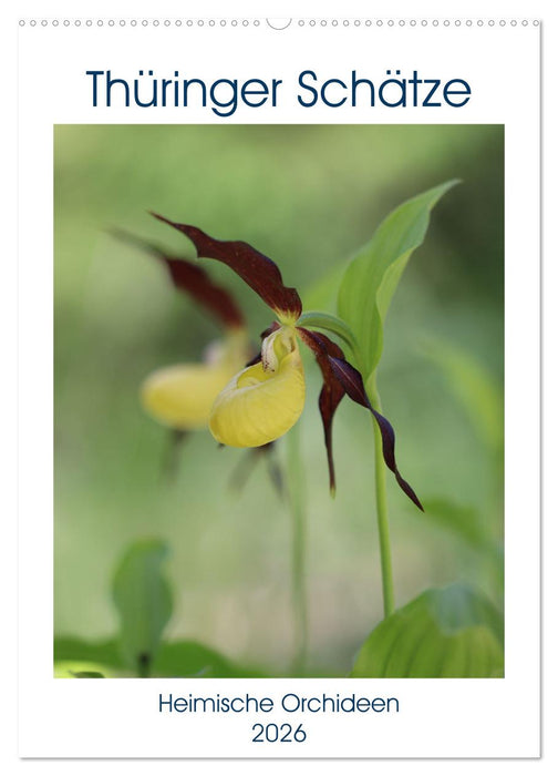 Thüringer Schätze (CALVENDO Wandkalender 2026)