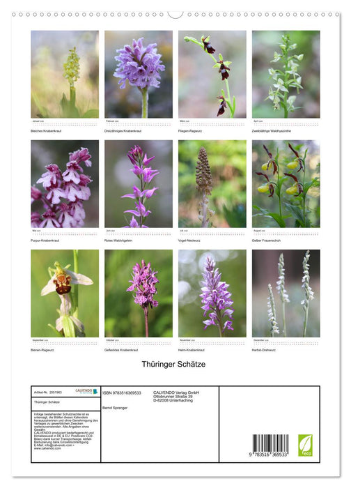 Thüringer Schätze (CALVENDO Wandkalender 2026)