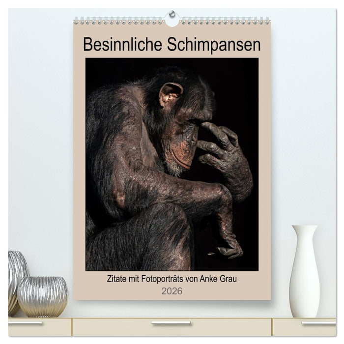 Besinnliche Schimpansen (CALVENDO Premium Wandkalender 2026)
