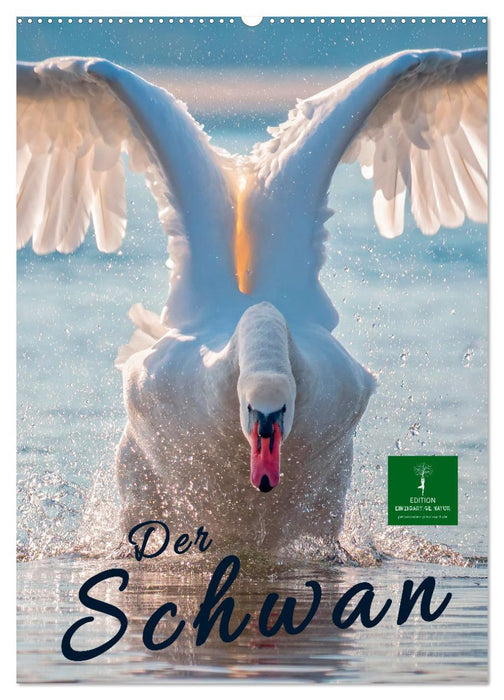 Der Schwan (CALVENDO Wandkalender 2026)