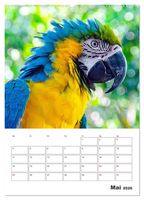 Reise durch Mittelamerika - Urlaubsplaner (CALVENDO Wandkalender 2026)