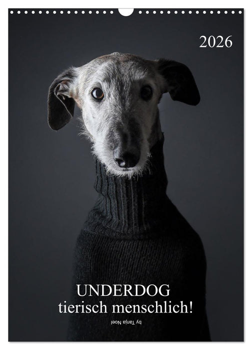 UNDERDOG - Windhundportraits (CALVENDO Wandkalender 2026)