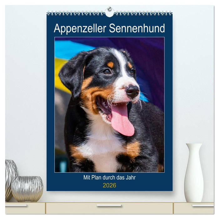 Appenzeller Sennenhund - Mit Plan durch das Jahr (CALVENDO Premium Wandkalender 2026)