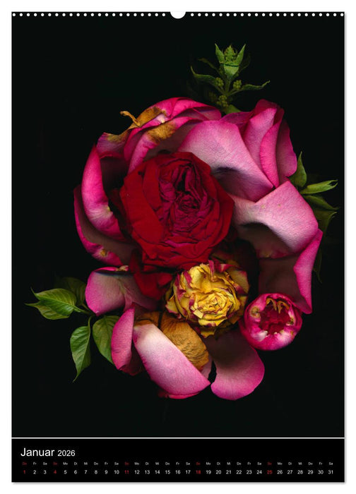 Blumen bei Nacht (CALVENDO Premium Wandkalender 2026)