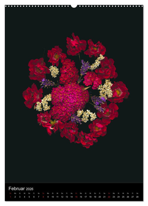 Blumen bei Nacht (CALVENDO Premium Wandkalender 2026)
