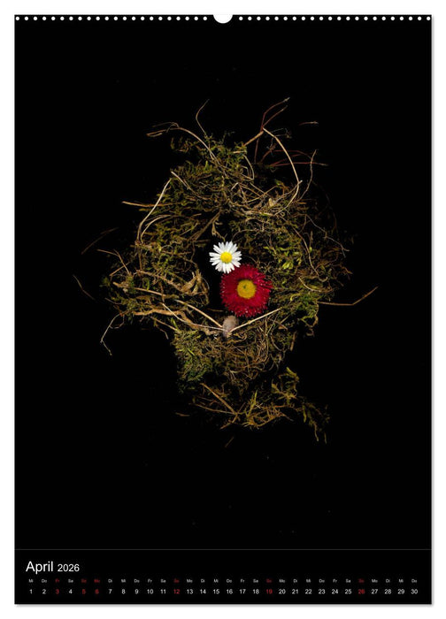 Blumen bei Nacht (CALVENDO Premium Wandkalender 2026)