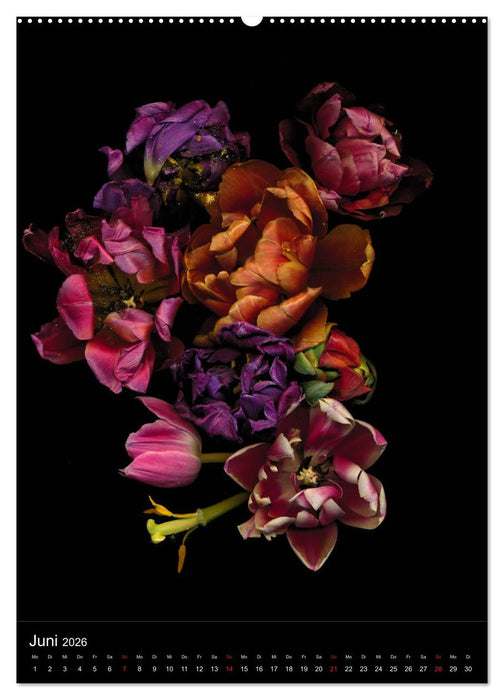 Blumen bei Nacht (CALVENDO Premium Wandkalender 2026)