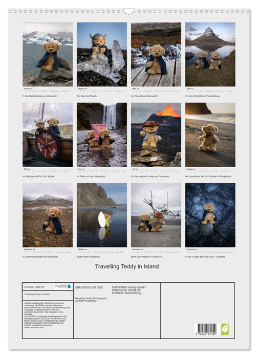 Travelling Teddy in Island (CALVENDO Wandkalender 2026)
