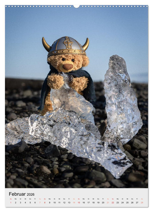 Travelling Teddy in Island (CALVENDO Wandkalender 2026)