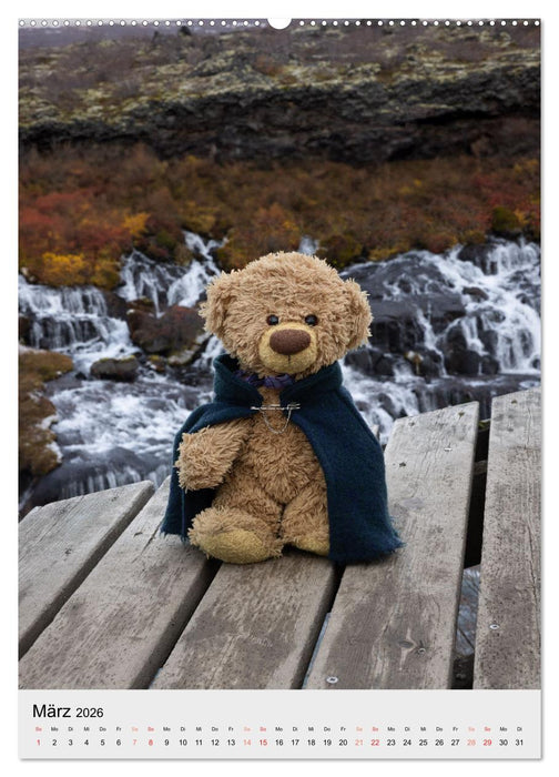 Travelling Teddy in Island (CALVENDO Wandkalender 2026)