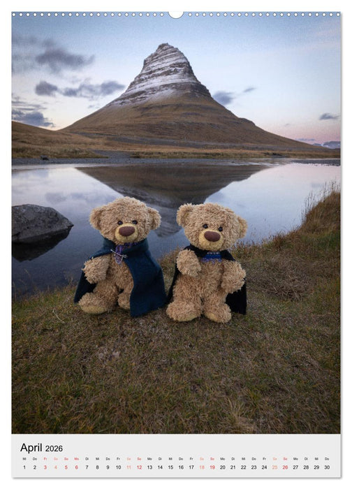 Travelling Teddy in Island (CALVENDO Wandkalender 2026)