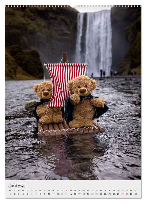 Travelling Teddy in Island (CALVENDO Wandkalender 2026)