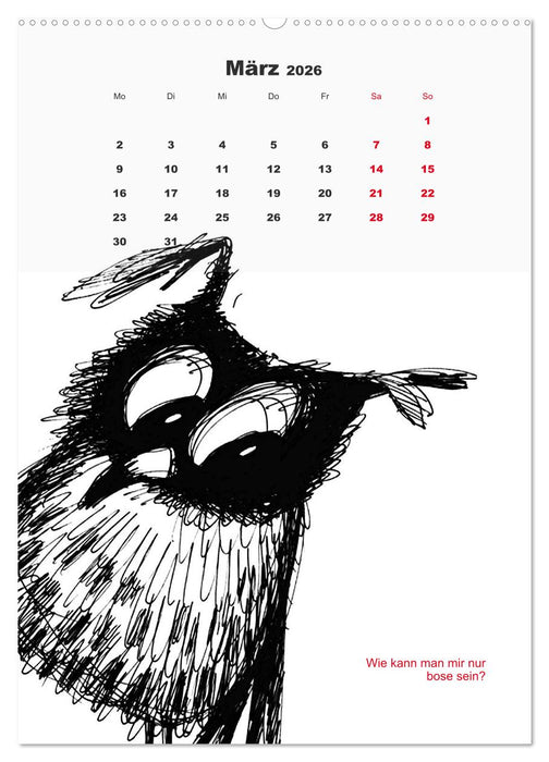 Vor dem Spiegel 2026 (CALVENDO Wandkalender 2026)