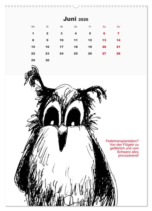 Vor dem Spiegel 2026 (CALVENDO Wandkalender 2026)