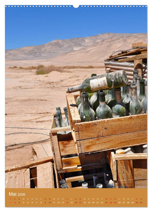 Erlebe mit mir die Atacama (CALVENDO Premium Wandkalender 2026)