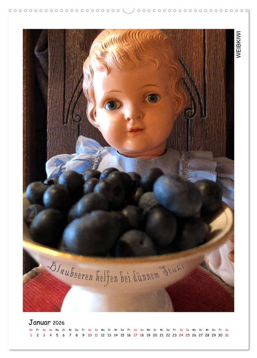 Alte Hausmittel - präsentiert von alten Puppen (CALVENDO Wandkalender 2026)