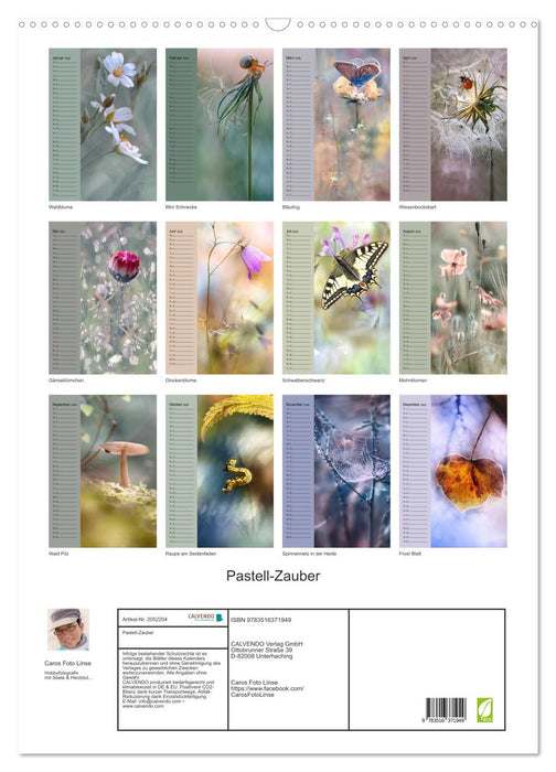 Pastell-Zauber (CALVENDO Wandkalender 2026)