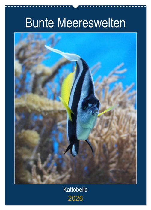 Bunte Meereswelten (CALVENDO Wandkalender 2026)