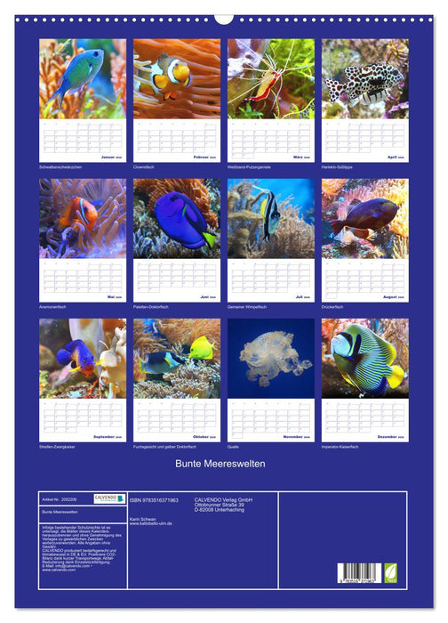 Bunte Meereswelten (CALVENDO Wandkalender 2026)