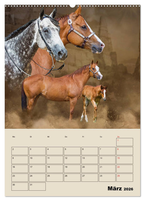 Pferdeträumereien - Traumbilder von Traumpferden (CALVENDO Premium Wandkalender 2026)